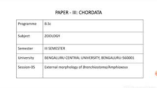 Amphioxus Morphology [upl. by Vale]