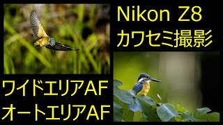 Nikon Z8 カワセミ撮影 ワイドエリアAF オートエリアAF 検証 [upl. by Zelten]