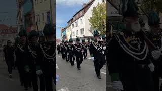 Landwirtschaftlicher Umzug des Fränkisches Volksfest am 17092023 [upl. by Tews]