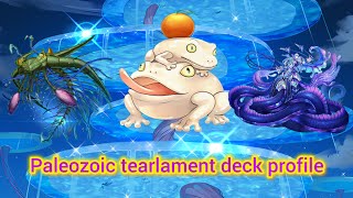 Paleozoic Tearlament top deck profile [upl. by Mountford]