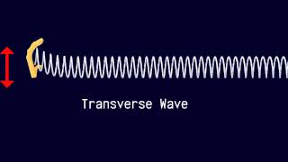 Longitudinal and Transverse Waves [upl. by Ayoras516]