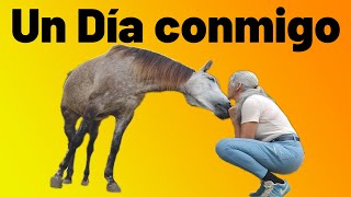 Día de un jinete unboxin donde se ha comido y que se ha hecho con los caballos [upl. by Nauht]