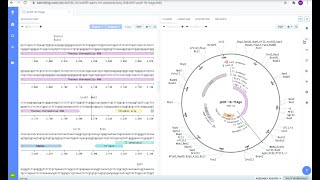 Benchling Restriction Enzyme Digest [upl. by Oilut]