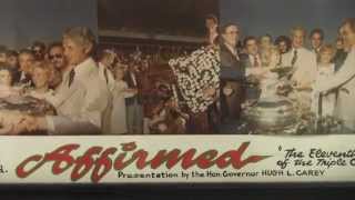 Instant Classic 1978 Belmont Stakes [upl. by Ketchum203]