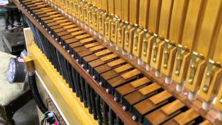 Testing New Violin Pipes and Chest for a Cremona G Orchestrion [upl. by Dominica]