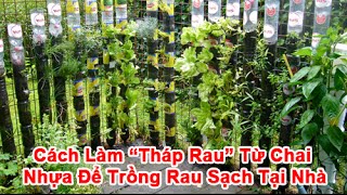 Cách Làm “Tháp Rau” Từ Chai Nhựa Để Trồng Rau Sạch Tại Nhà [upl. by Yesac]