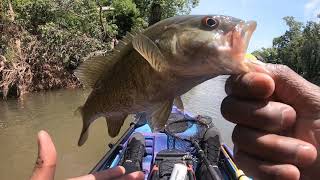 Kayak Fishing the Harpeth River Vibe Sea Ghost 110 [upl. by Akibma698]