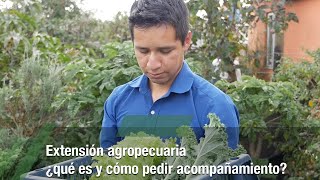 Extensión agropecuaria ¿qué es y cómo pedir acompañamiento  TvAgro por Juan Gonzalo Angel Restrepo [upl. by Aisyle]