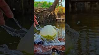 refreshing coconut peeling ASMR [upl. by Mindy]