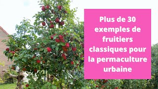 Plus de 30 exemples de fruitiers classiques pour la permaculture urbaine [upl. by Trelu]