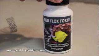 Fish Flox Forte Ciprofloxacin 500 mg Fish Antibiotic [upl. by Litman]