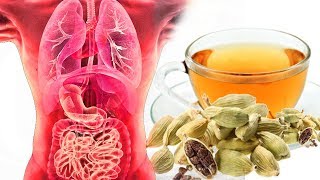 Top 10 Benefits of Cardamom Tea  Health Benefits  Smart Your Health [upl. by Frodin]