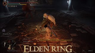 Unsightly Catacombs amp Tag Team Against Me  Elden Ring [upl. by Ly2]