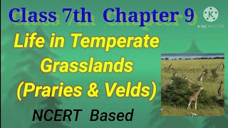 NCERT Class 7th chapter 9 Life in Temperate grassland [upl. by Dlanod241]