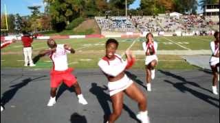 2012 WSSU Cheerleaders Its called Survival [upl. by Annair]