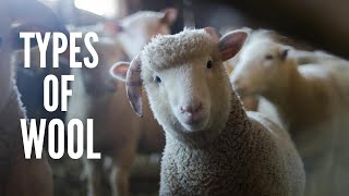 Types of Wool 11 Things to Know about Wool [upl. by Ahsinac]