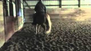 ZIPPO STRAIT TO YOU  2012  Superior Western Pleasure amp Western Riding Stallion [upl. by Urbani]