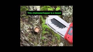 ChainsawLopper Check comments to find chainsaw ad fyp amazon shorts outdoorequipment [upl. by Thgiled922]