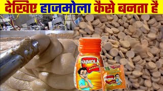 देखिए हाजमोला कैसे बनता है  Hajmola Kaise Banta Hai  How Hajmola is Made in Factory [upl. by Erkan795]