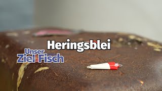 Tackle Jörgs Heringsblei  Unser Ziel ist Fisch [upl. by Teodor782]