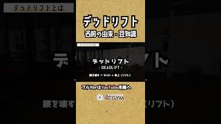 デッドリフト・名前の由来【佐野市の24時間ジム：AEGYM】 Shorts デッドリフト 初心者 筋トレ 豆知識 [upl. by Kilbride]