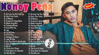 Nonoy Peña Nonstop Opm Tagalog Song  Nonoy Peña Best Songs Full Album [upl. by Eillen]