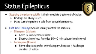 Status Epilepticus A Seizure Emergency [upl. by Veno]