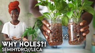 Why I prefer drain holes for my plants in LECA  tips on drilling  semihydroponics [upl. by Sokul]