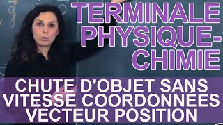 Chute dobjet sans vitesse 3  coordonnées vecteur position  Physique  Terminale [upl. by Trebor]