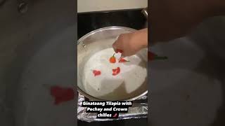 Ginataang Tilapia with Pechay and Crown Chilies 🌶️ ginataangtilapia easyrecipe pinoyrecipe [upl. by Hsur]