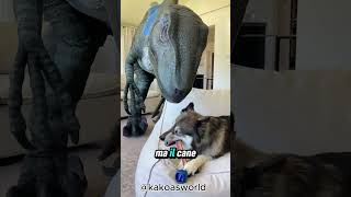 Un uomo vestito da Velociraptor cerca di rubare losso del suo cane [upl. by Annia]