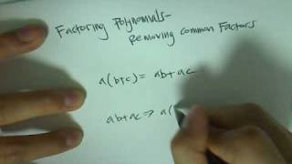 Factoring Polynomials  Removing Common Factors [upl. by Weig]