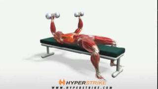 Exercise Videos Dumbbell Bench Press [upl. by Tades]