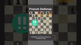 opening trap fight 163👌 chesssinhala chess gambit chesslessons checkmate chesstricksinhala [upl. by Anyt]