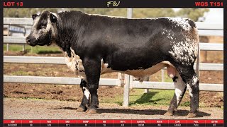 LOT 13 WATTLE GROVE FW T151 [upl. by Eannej769]