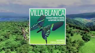 Villa Blanca Cloud Forest Hotel amp Nature Reserve [upl. by Ammadas]