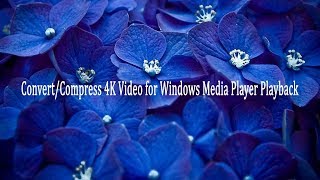 ConvertCompress 4K Video for Windows Media Player Playback [upl. by Anavahs]