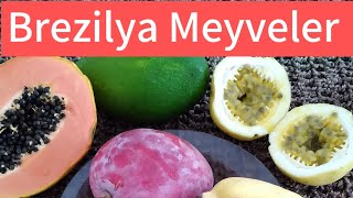 Meu Namorado Turco Conhecendo as Frutas do Brasil meyvler brezilya turconobrasil [upl. by Tisha]