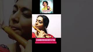 Chandana Manivathil Pathi Chari  Flute Cover [upl. by Radu626]