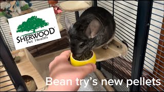 Chinchilla food UNBOXING from Sherwood Pet Health [upl. by Ahsemit]