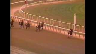 1995 Ruffian Handicap  Inside Information [upl. by Valerio]