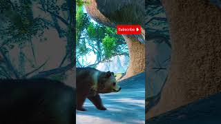 Cute Baby Himalayan Brown Bear in Planet Zoo planetzoo [upl. by Avan690]