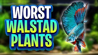 Bad Plants For Walstad Method Tanks Theres Better Options For Your Dirted Planted Tanks [upl. by Acila]