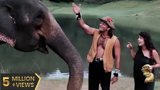 Safari Full Movie HD सफारी पूरी मूवी 1999 Sanjay Dutt Superhit Hindi 90s Film Juhi Chawla Tanuja [upl. by Inoue286]