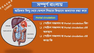 Structure and Function of portal circulation in bangla  Hepatic portal circulation [upl. by Yram]