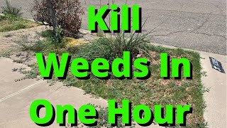 How To Kill Weeds In Landscape [upl. by Etnahs]