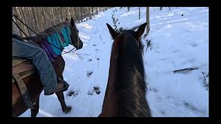 Snow Trail Ride FULL [upl. by Avron]