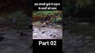 wild dog save tigers cubs lifewild tiger cubswild dog cubsa tigers life part 2 yt shortviral [upl. by Eseerehs]