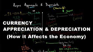 Currency Appreciation amp Depreciation  How it Affects the Economy  Economics [upl. by Denyse]