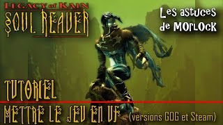 TUTO Legacy of Kain Soul Reaver  mettre le jeu en VF versions GOG et Steam [upl. by Acenom]